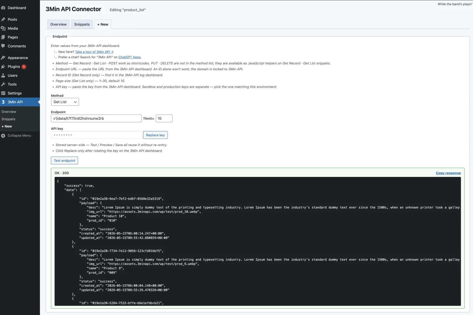 端點輸入與 Test endpoint 結果